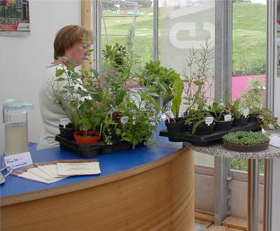 Annette Eppler Wildkräuterführung Bad Colberg